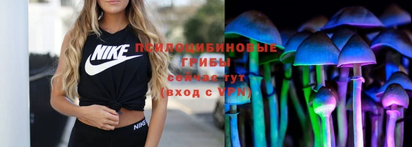 винт Абинск