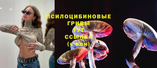 COCAINE Абаза