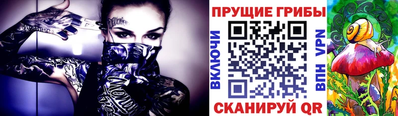 Галлюциногенные грибы мицелий  Суоярви 