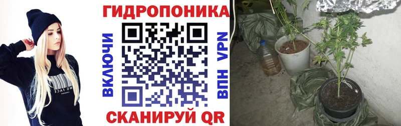 купить  цена  Суоярви  Каннабис план 